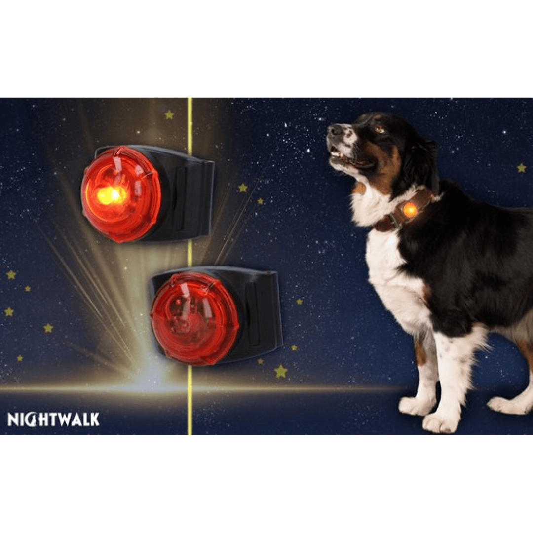 Nightwalk Safety Light