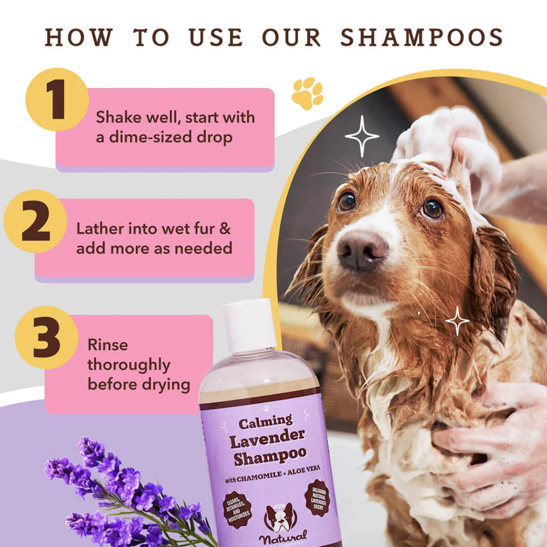 A step by step guide of how to use the Natural Dog Company Calming Lavender Shampoo in 3 simple steps