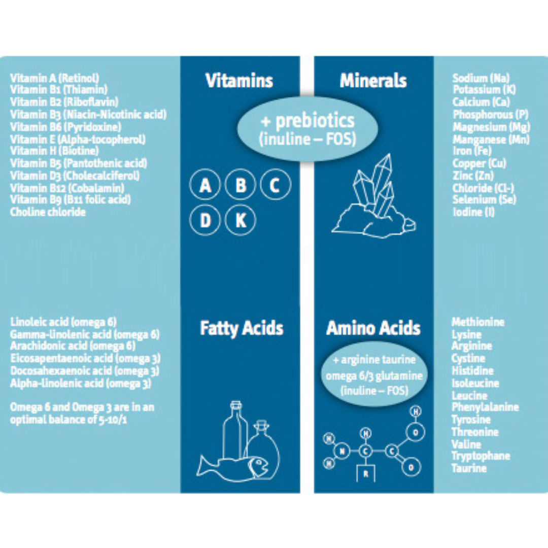 The nutritional additives of the Viyo Recuperation Cat