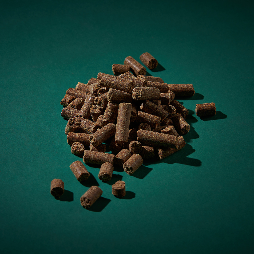 Darf Cat Cold Pressed Food Sample