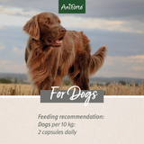 Feeding Recommendations for Dogs: 2 capsules daily per 10kg of body weight