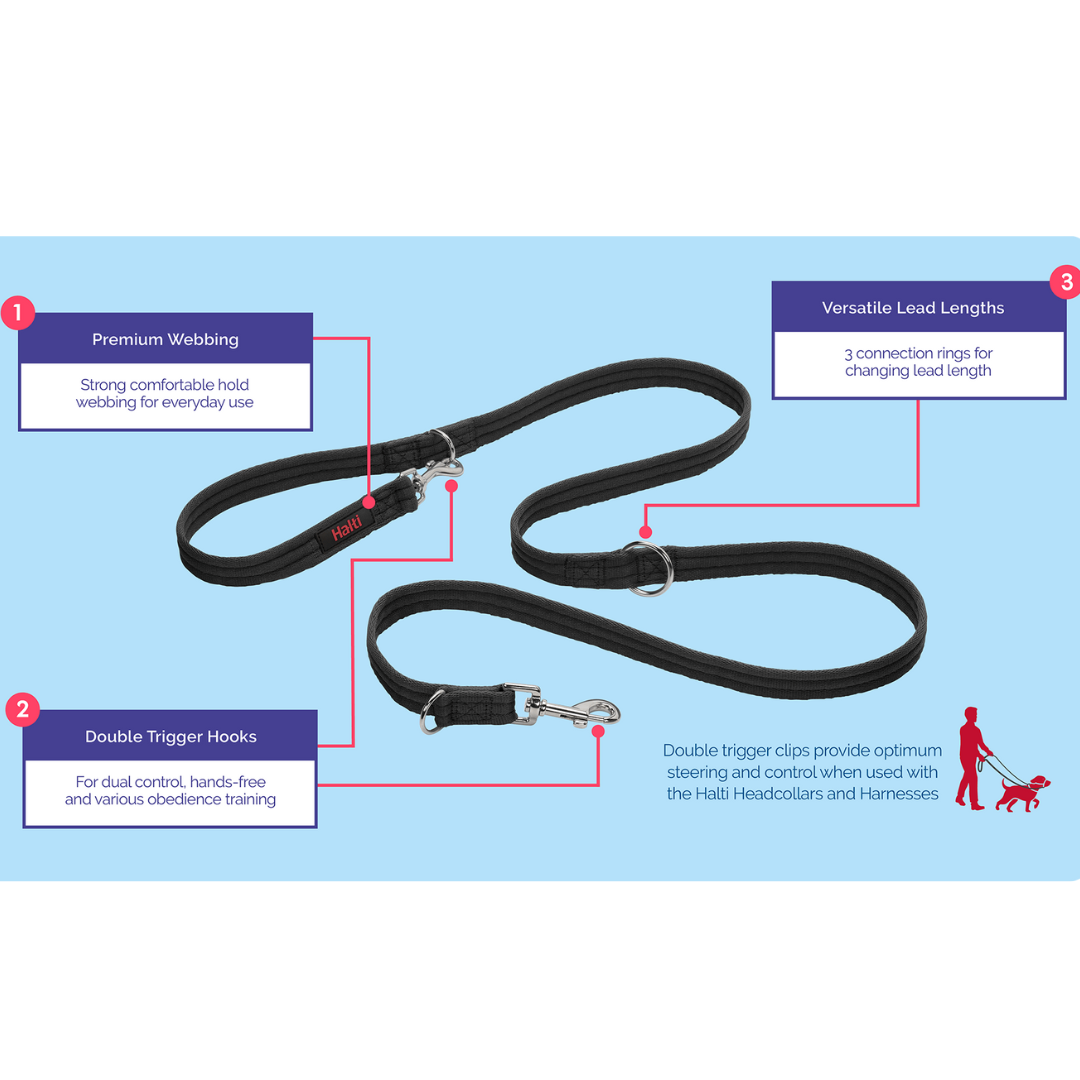 Halti Training Lead
