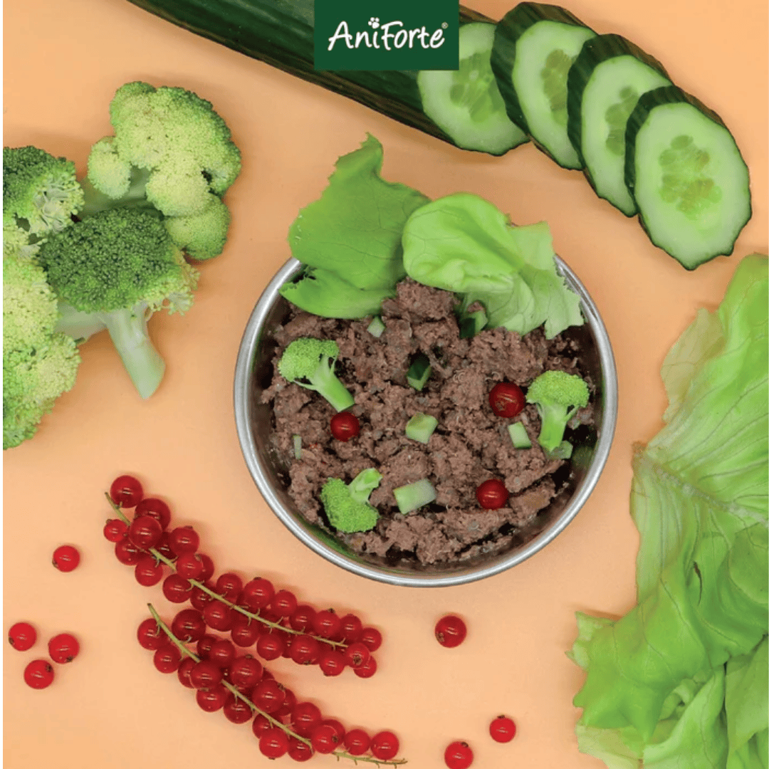 AniForte PureNature Turkey Wet Food