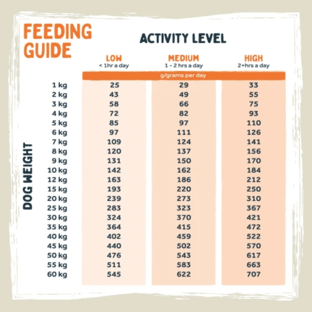 A dog feeding activity guide chart showing weight ranges from 1 kg to 60 kg, with columns for low, medium, and high activity levels and calories per day.
