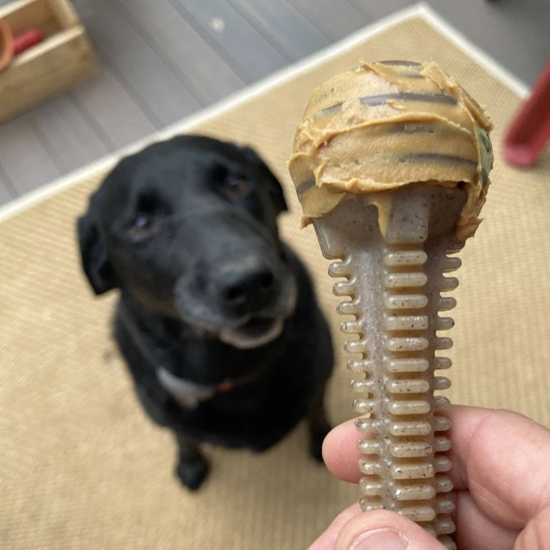 SodaPup Honey Ultra Durable Chew