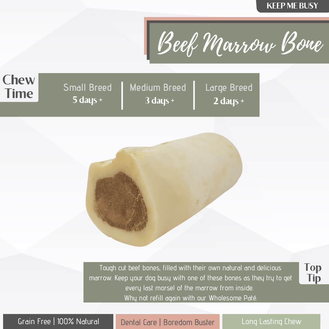 An infographic explaining the benefits of beef marrow bone, image included on a white background