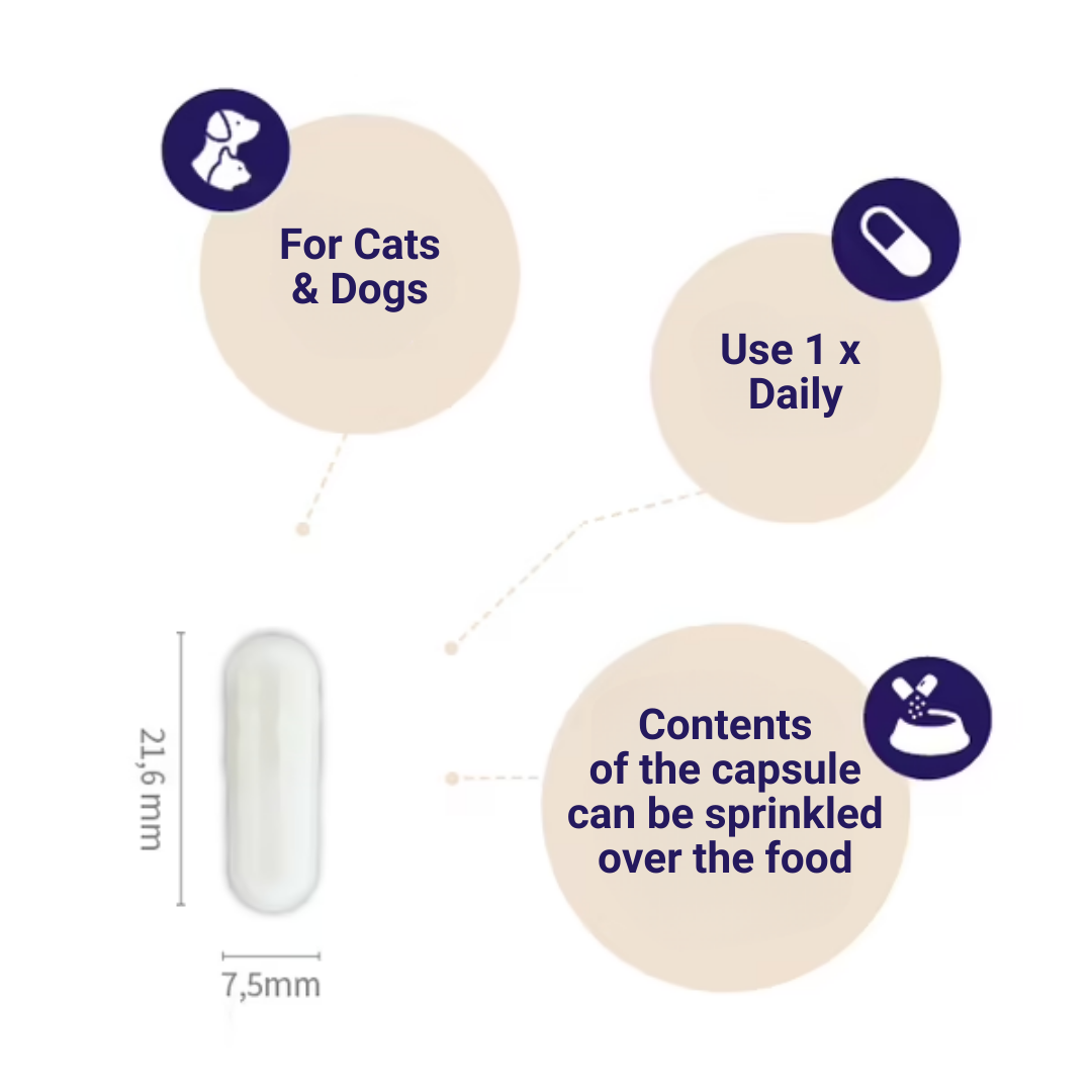 For dogs and cats, use 1 x daily, the contents of the capsule can be sprinkled over the food.