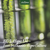 100% Algae Oil from sustainable algae oil.