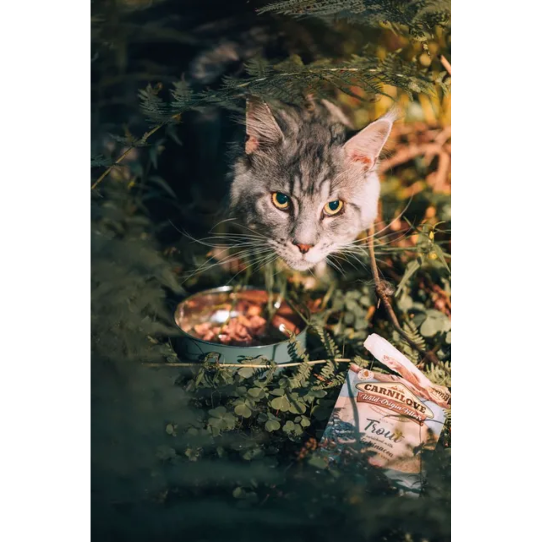 A cat peering out through a woodland scene. There is a bowl full of, and empty package of Carnilove Trout cat food pouch.