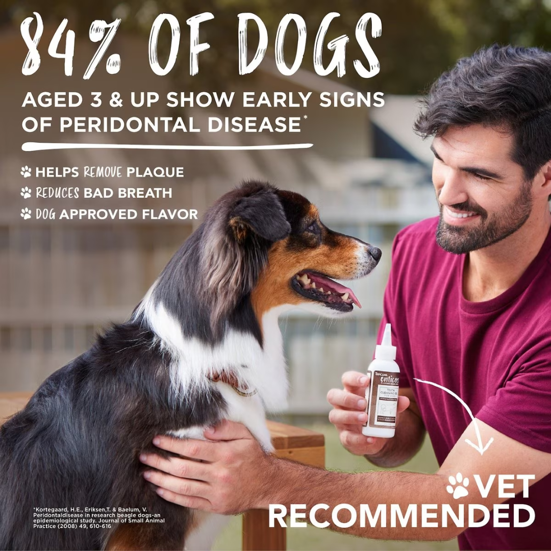 Smoked Beef Toothpaste for Dogs