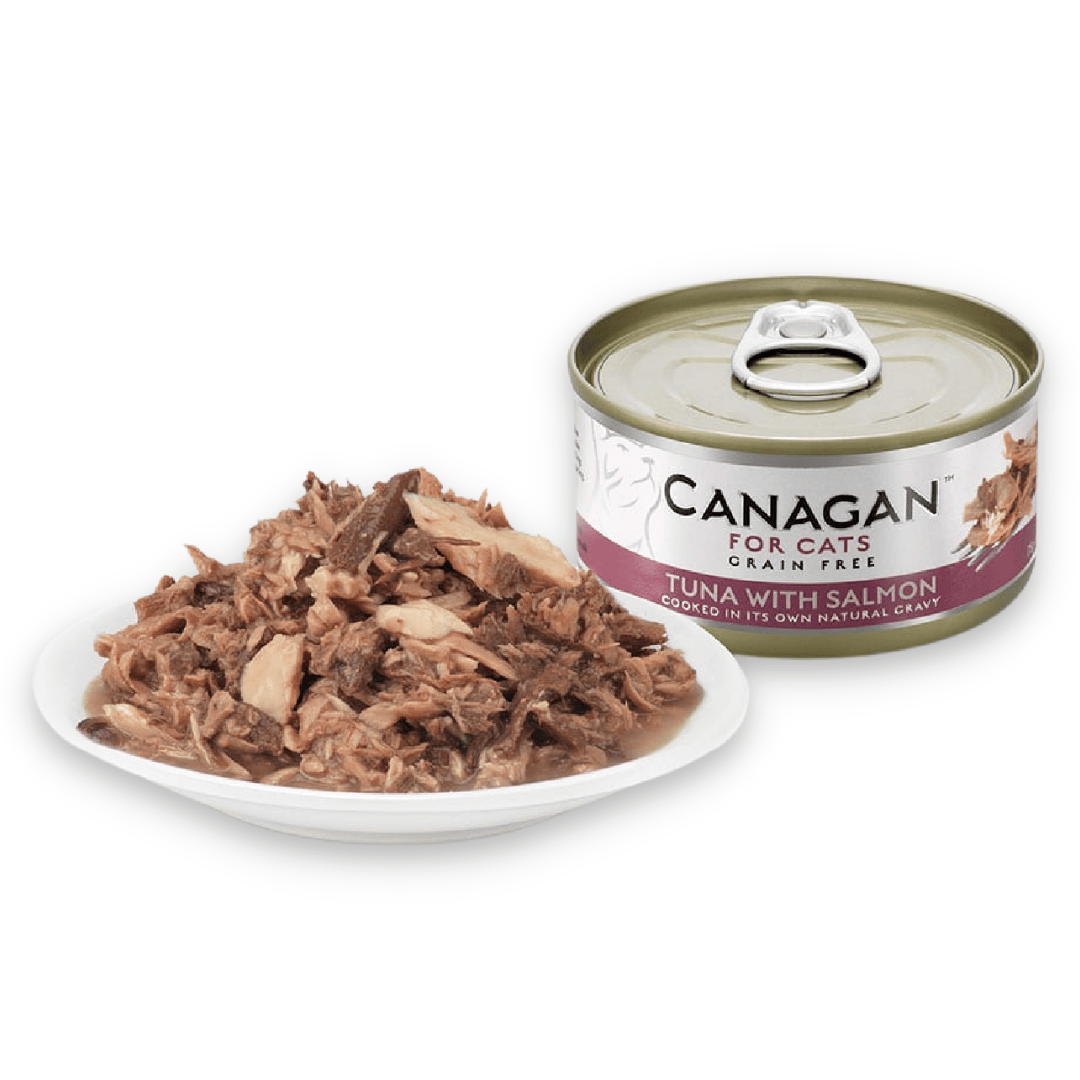 Canagan Tuna with Salmon Cat Food Tin 75g. It is served on a plate along side the tin. Chunky Texture