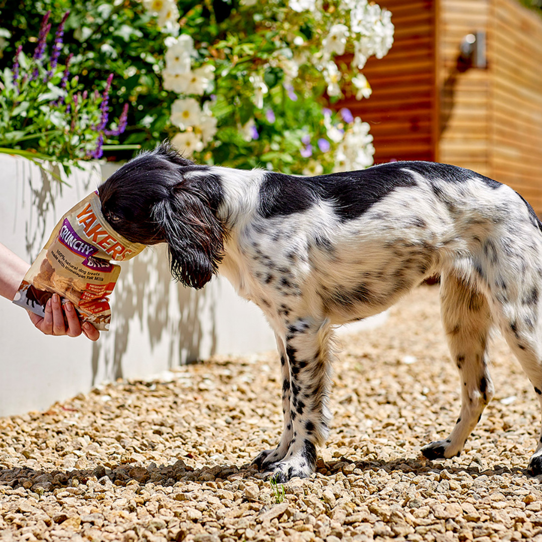 Yakers Crunchy Bites