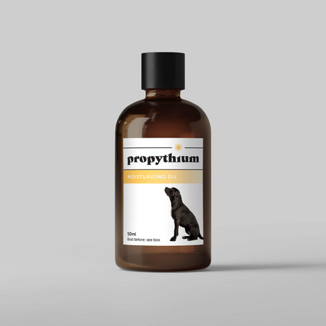 Dogs First Propythium Moisturising Oil to Kill Yeast 