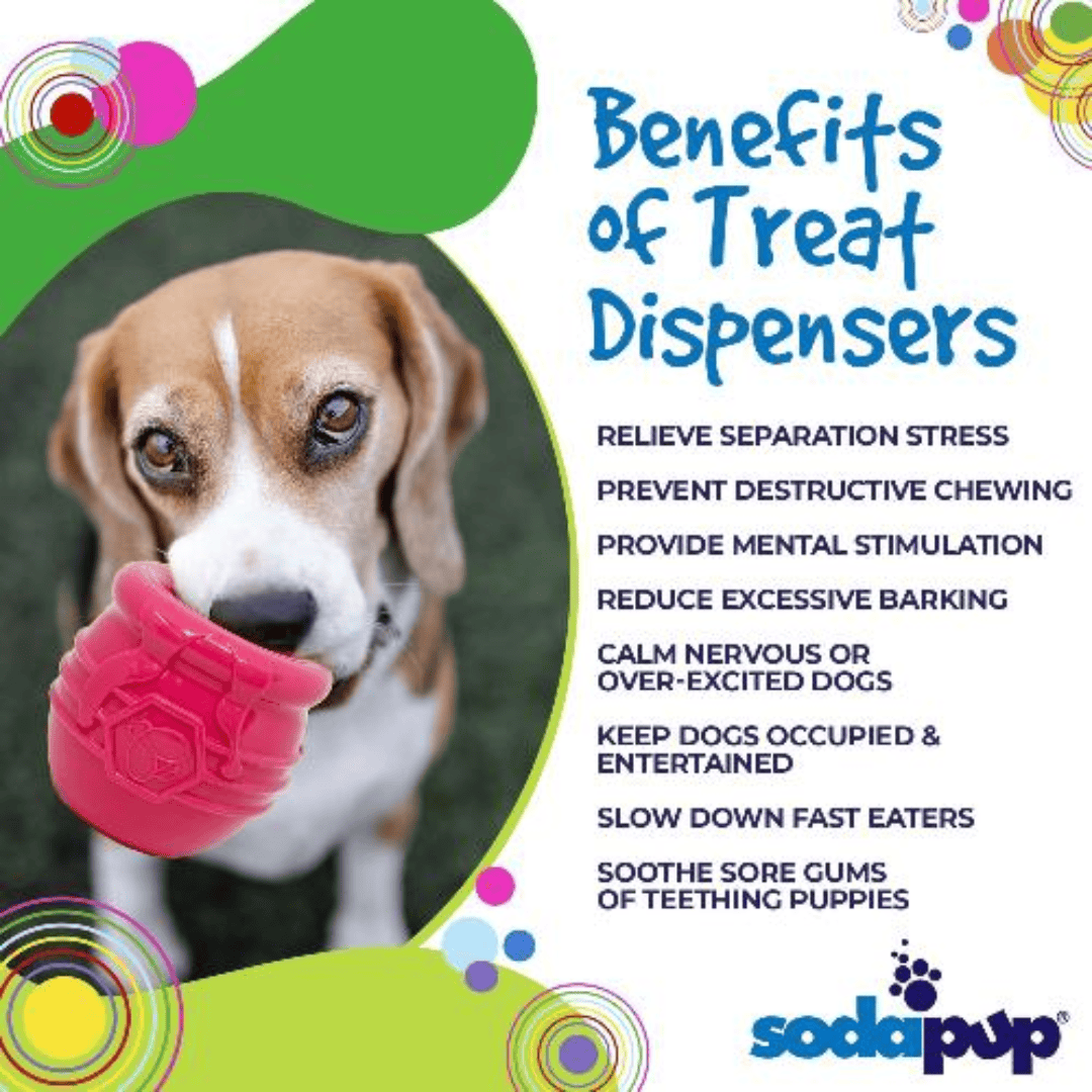 SodaPup Honey Pot Treat Enrichment Toy