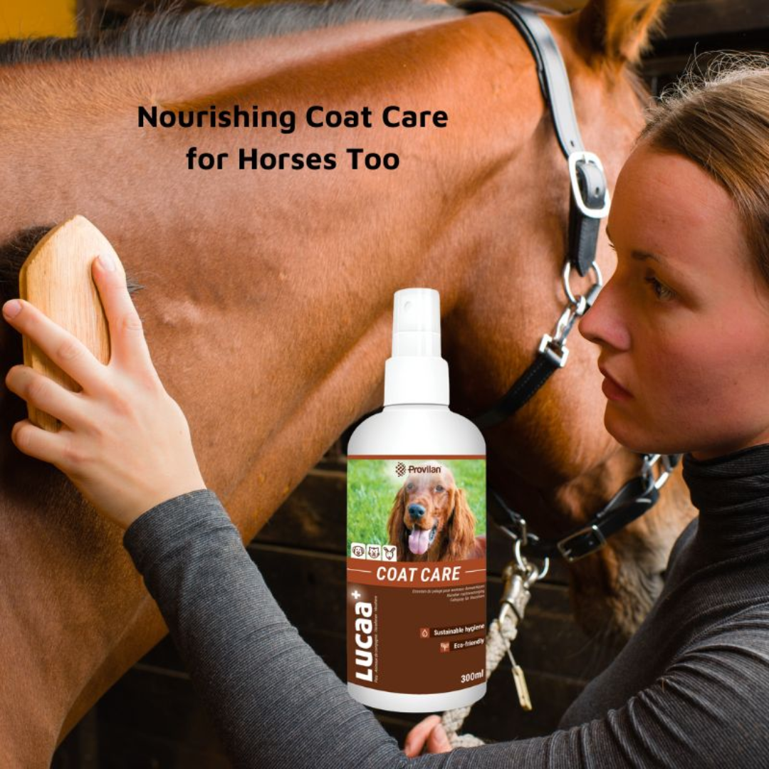 Natural Coat Care Spray |Provilan Lucaa+