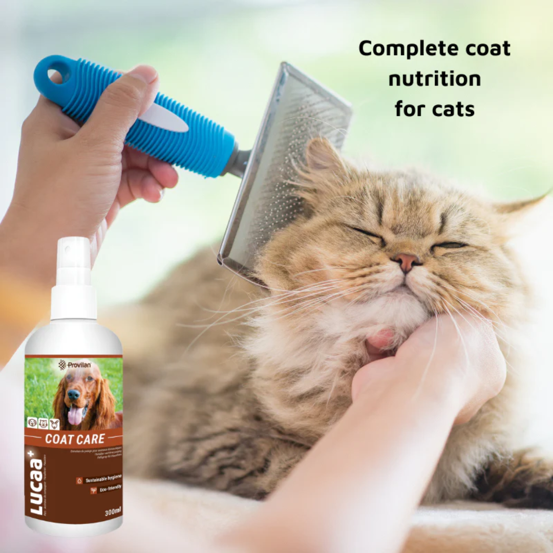 Natural Coat Care Spray |Provilan Lucaa+