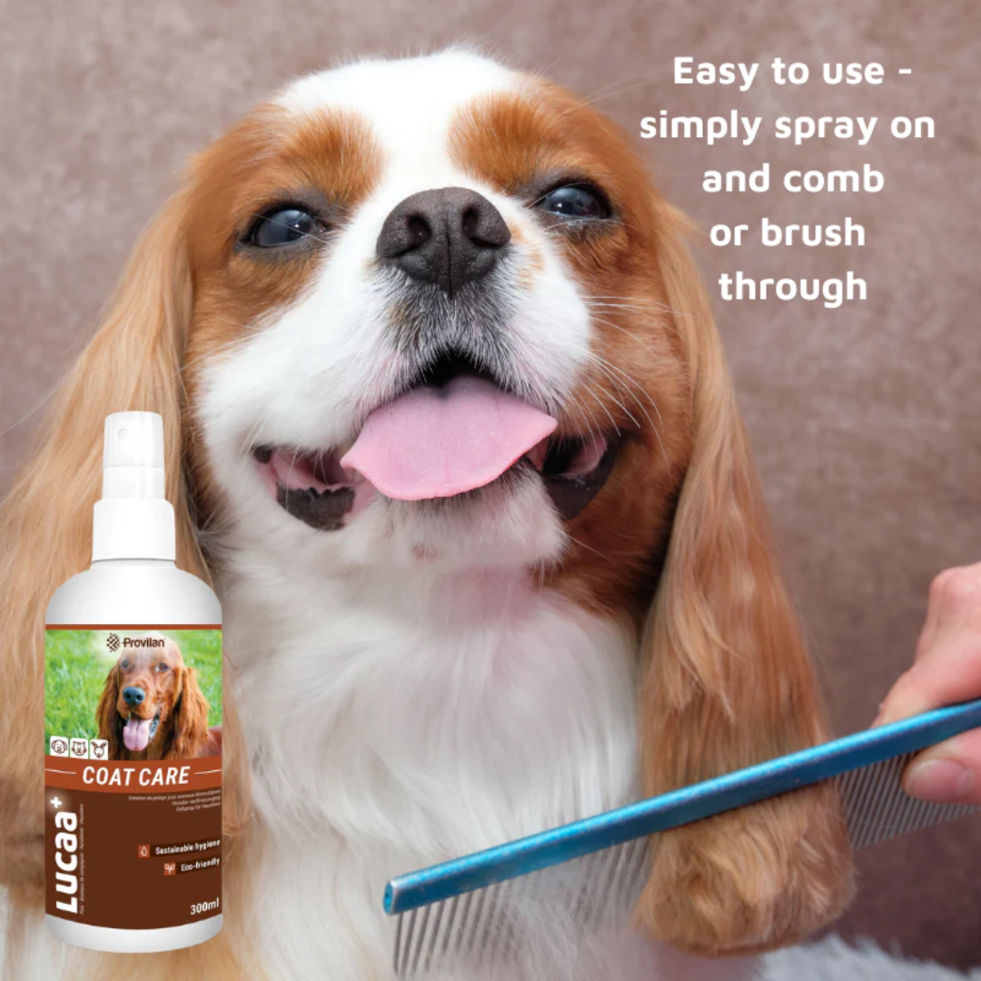 Natural Coat Care Spray |Provilan Lucaa+