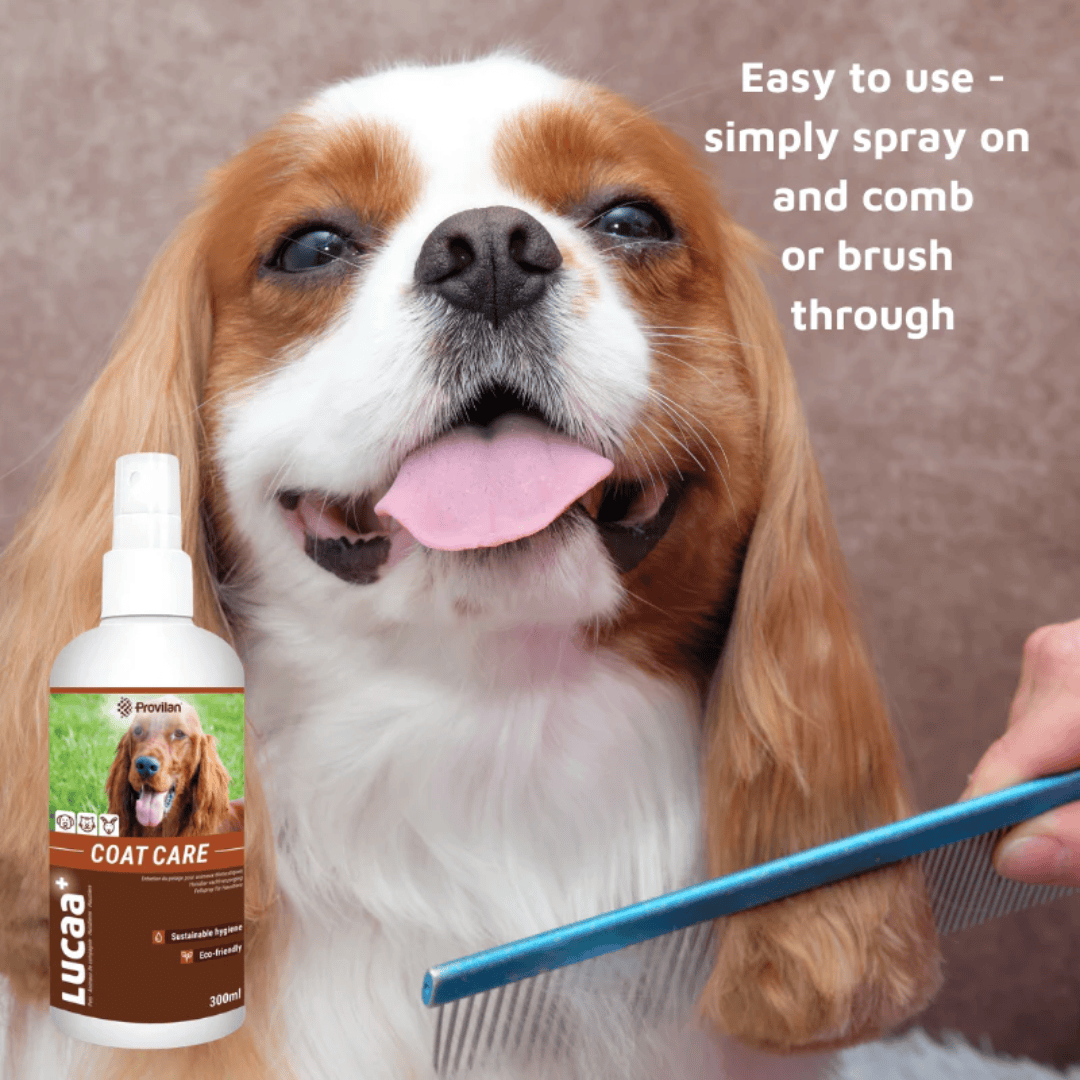 Natural Coat Care Spray |Provilan Lucaa+