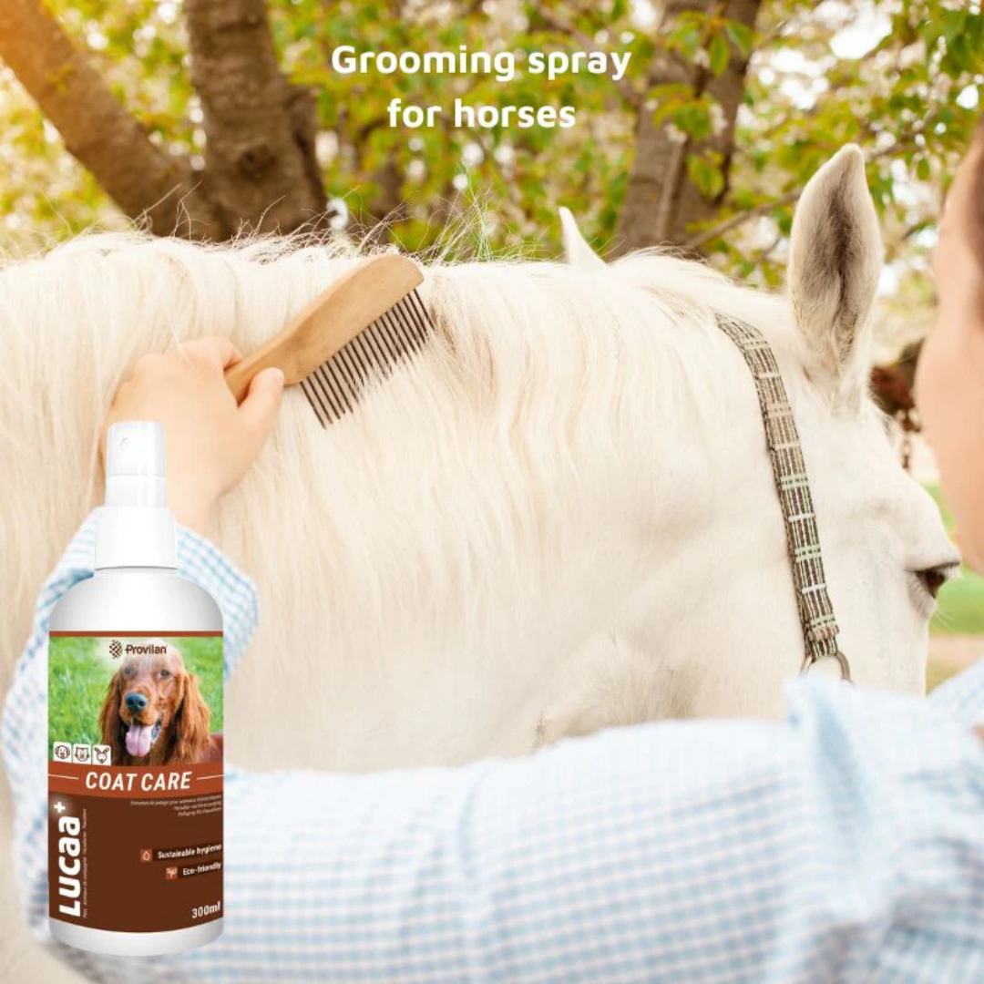 Natural Coat Care Spray |Provilan Lucaa+
