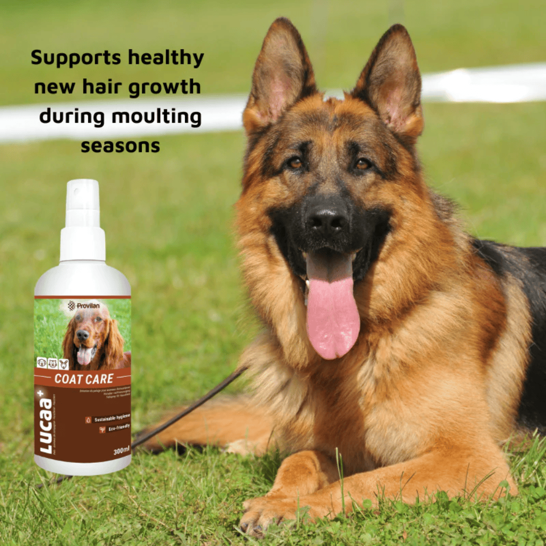 Natural Coat Care Spray |Provilan Lucaa+