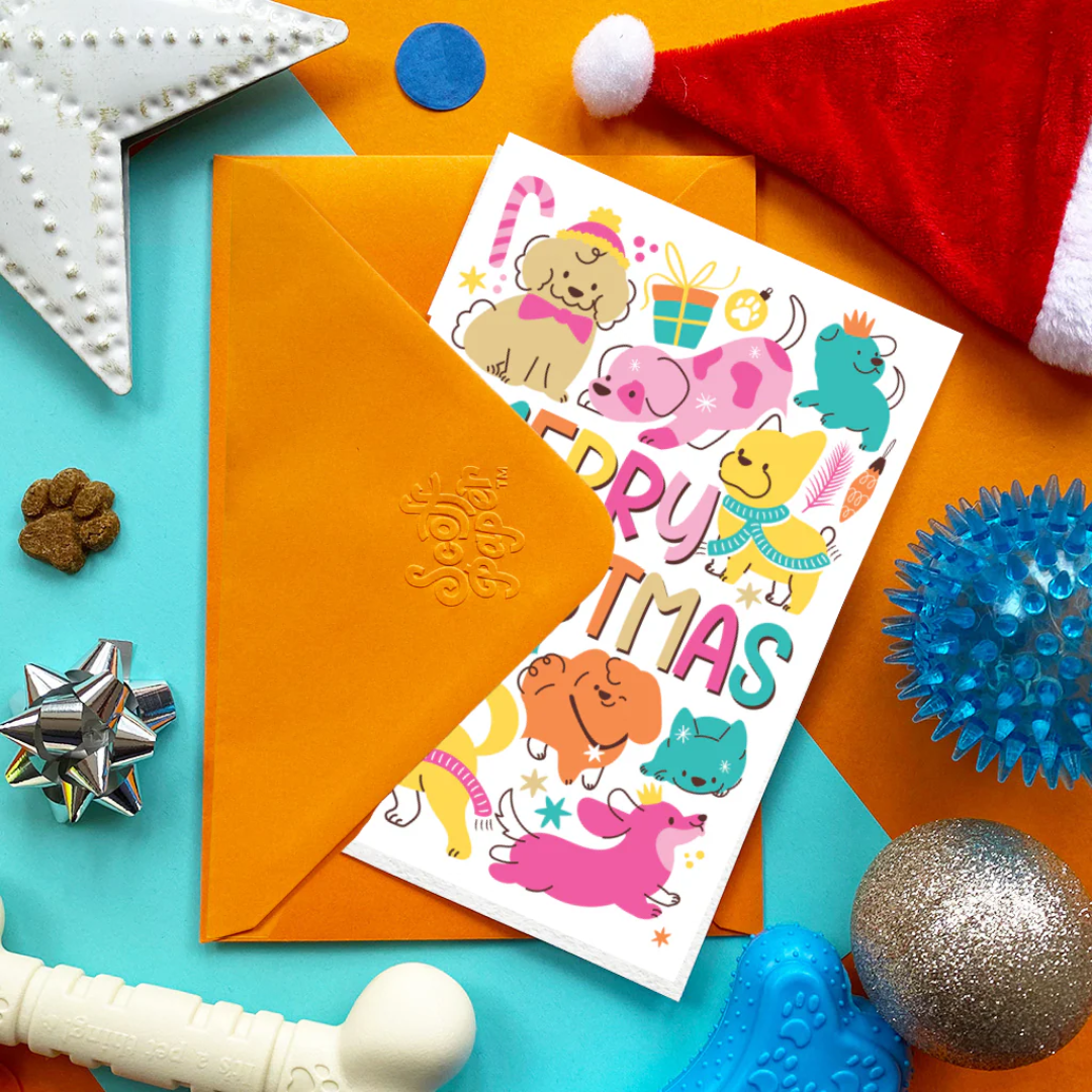 Scoff Paper Edible Christmas Cards for Dogs - Christmas Pastel