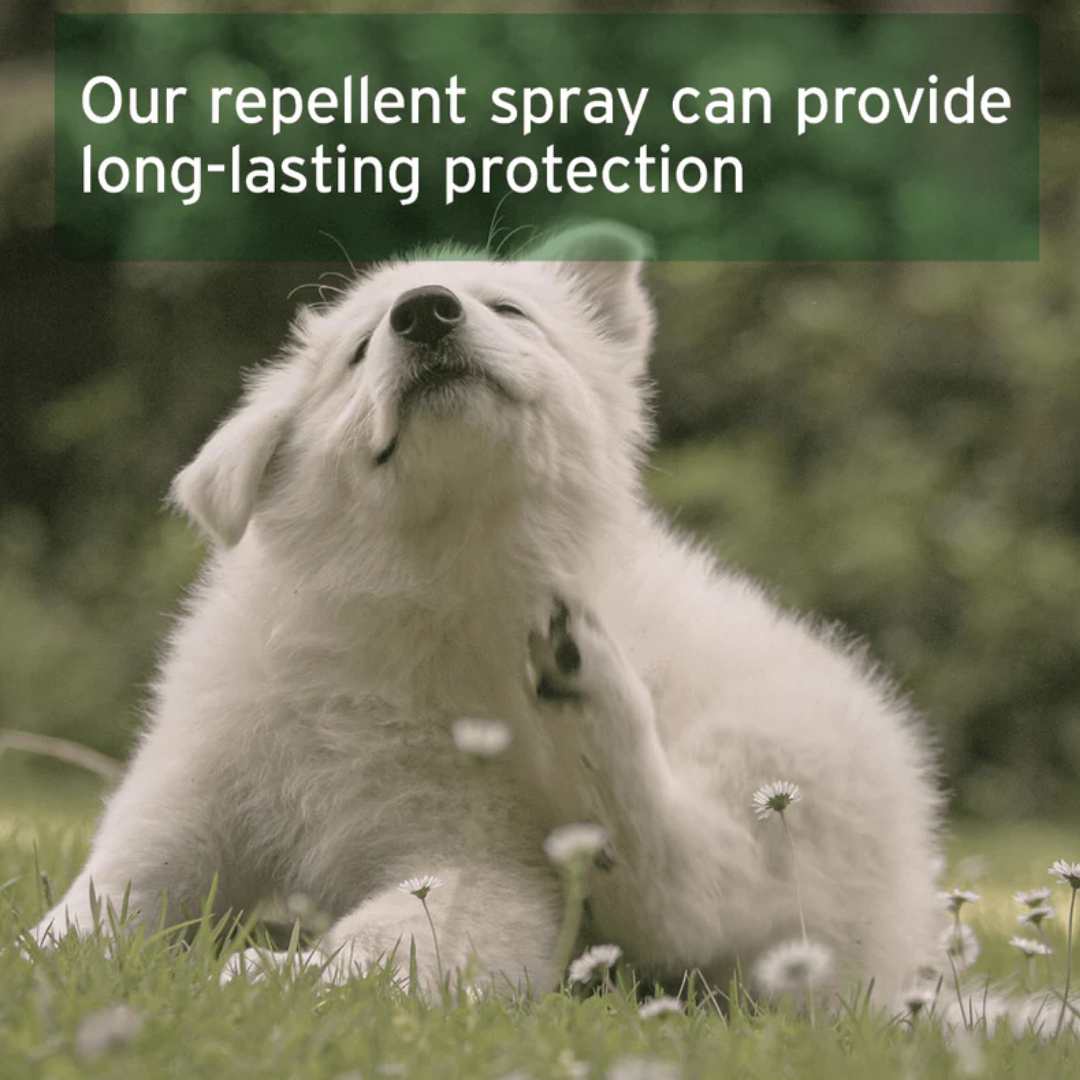 Aniforte Grass Mite Spray