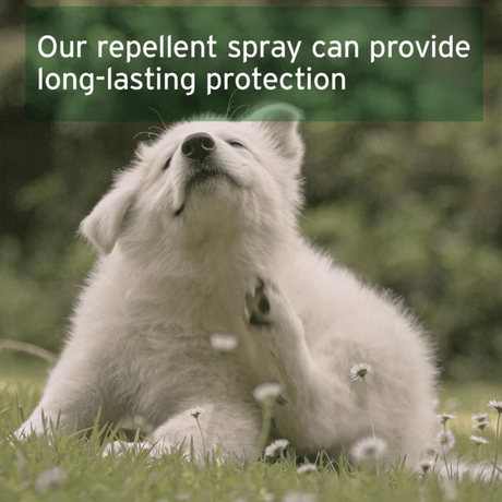 Aniforte Grass Mite Spray