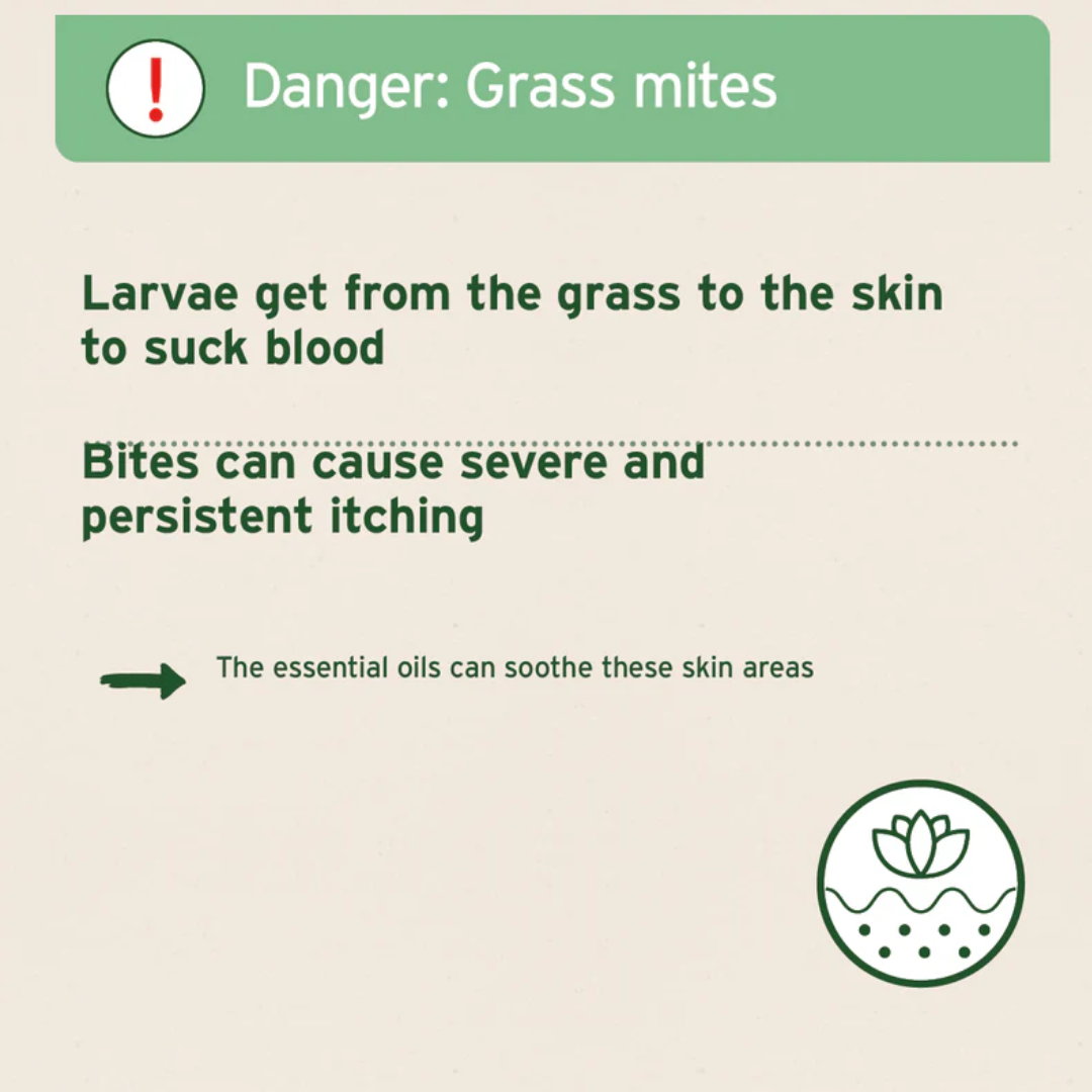 Aniforte Grass Mite Spray