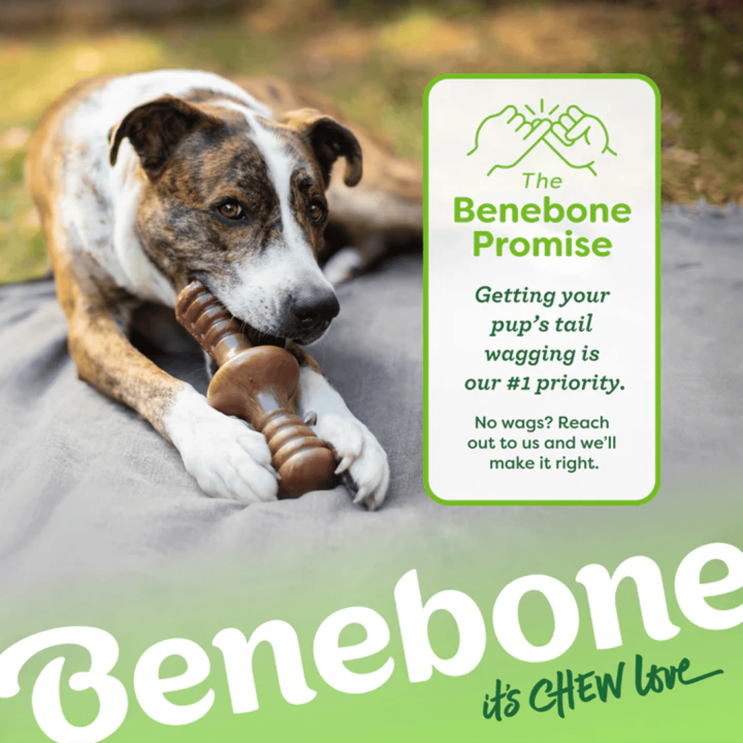Benebone Zaggler Bacon Dog Toy