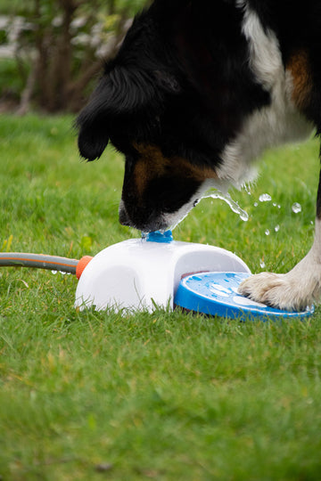 Cool Pets Splash Water Fountain