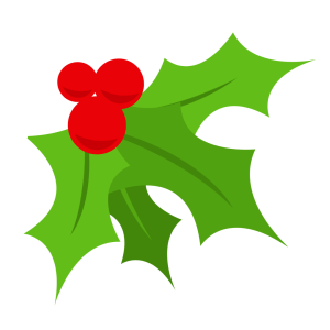 The Novel Nibbles Christmas Feast Box