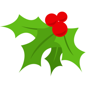 The Novel Nibbles Christmas Feast Box