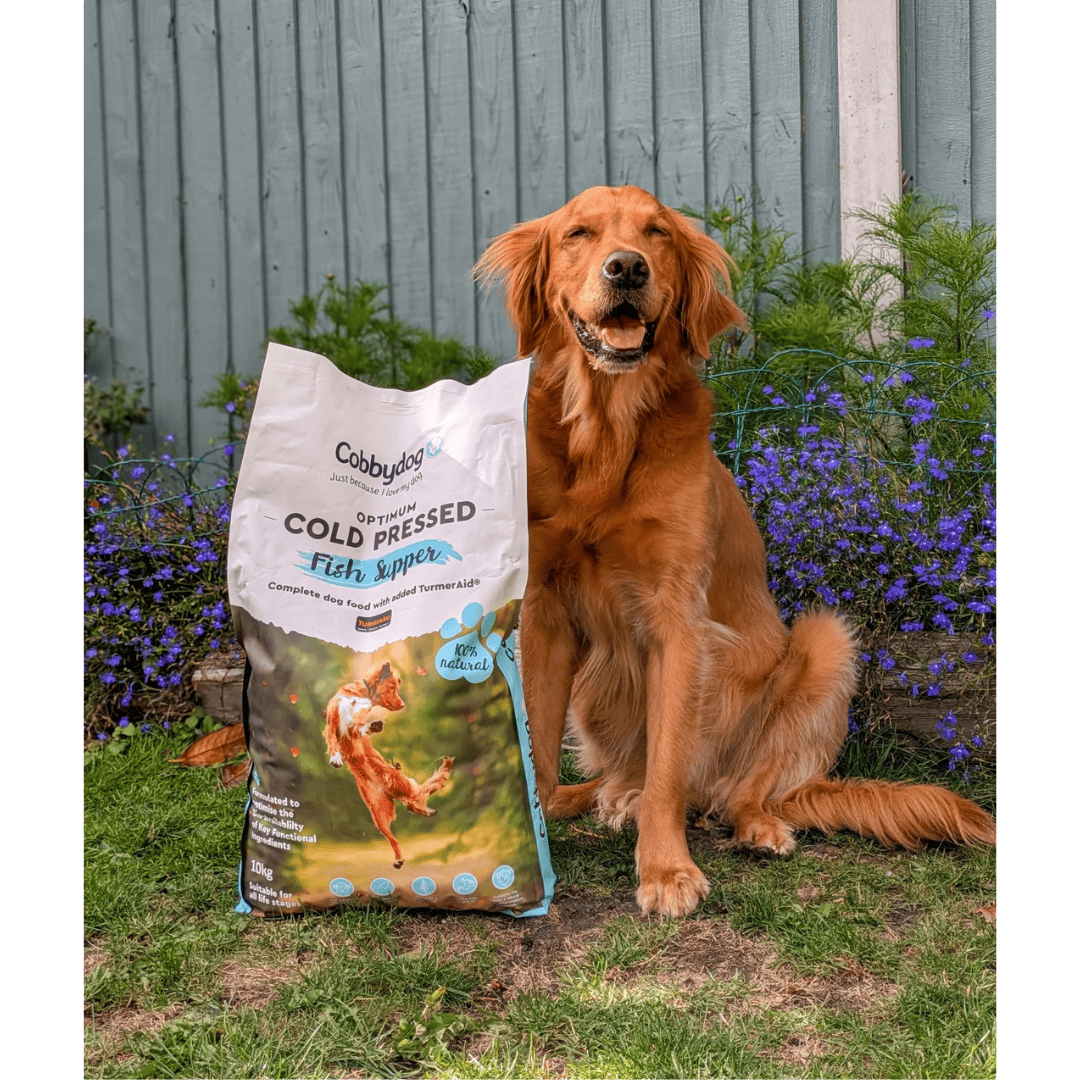 Cobbydog Fish Supper Cold Pressed Dog Food
