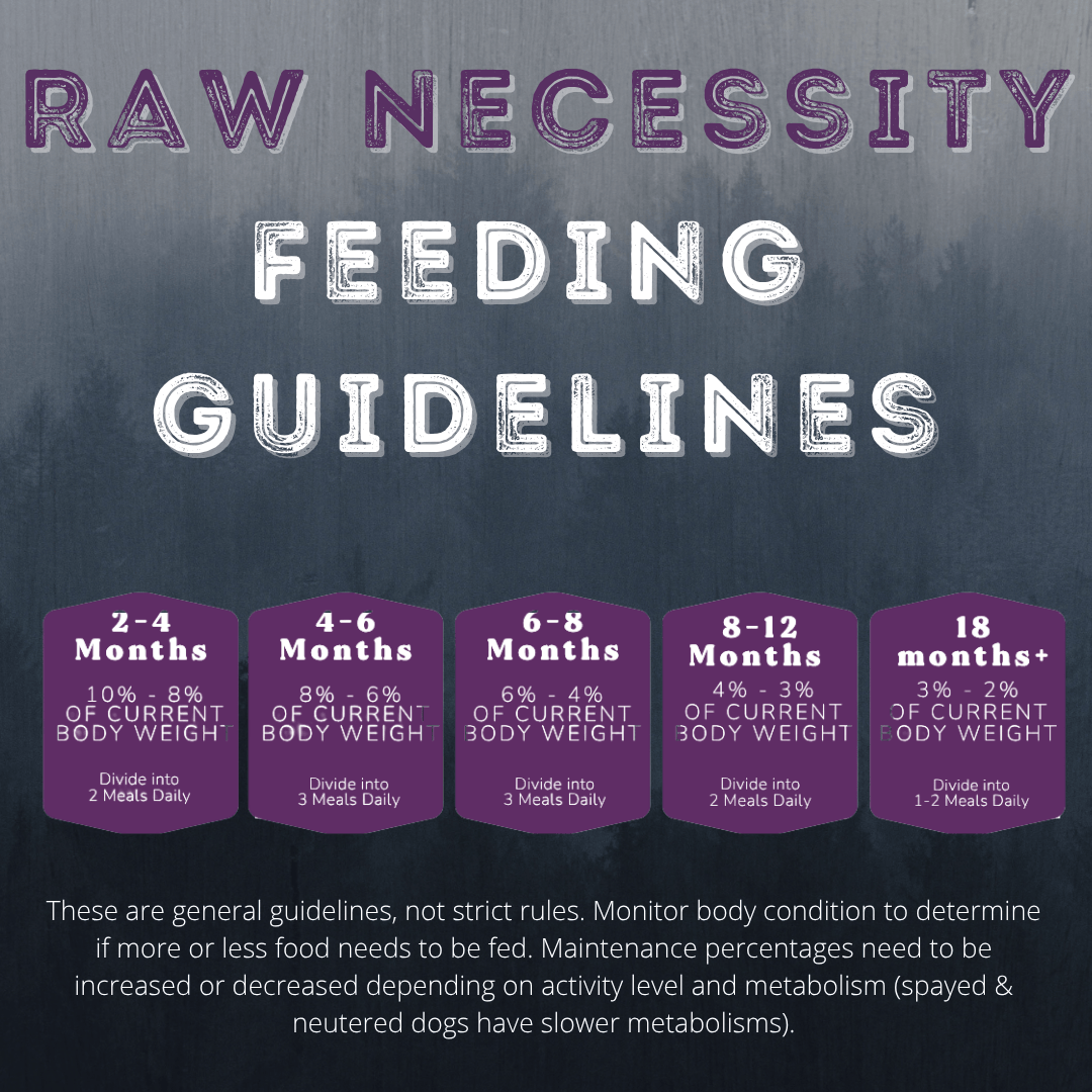 Raw Necessity Essentials | Turkey, Duck and Chicken 1kg