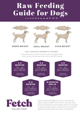 Raw Feeding Guide for Dogs.