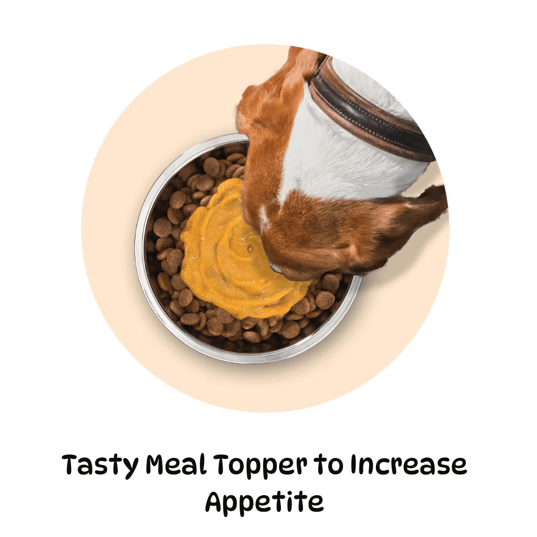 Zoe Licky Snack - Pumpkin & Chicken