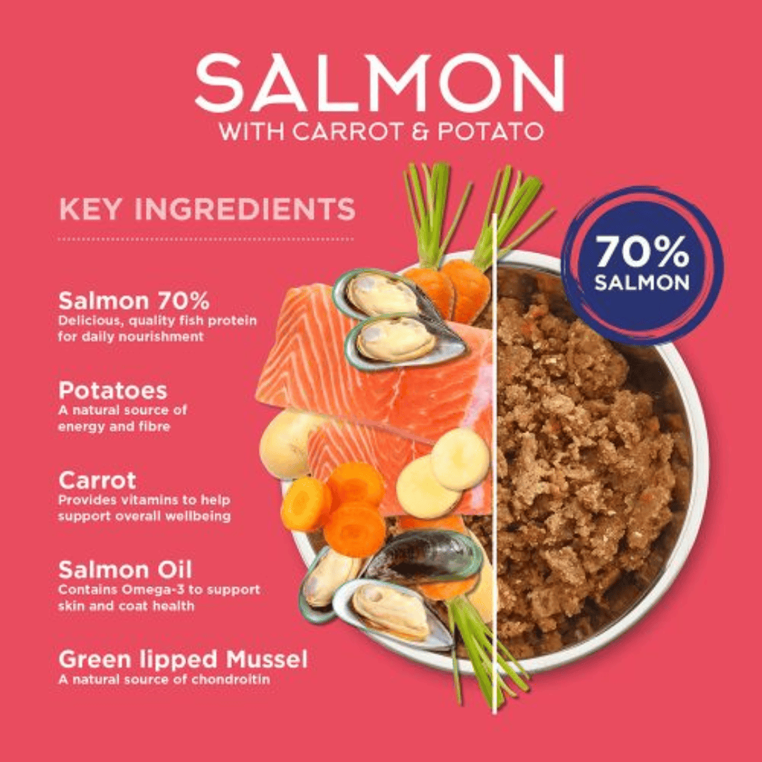 Fish 4 Dogs Salmon with Carrot & Potato Wet Dog Food