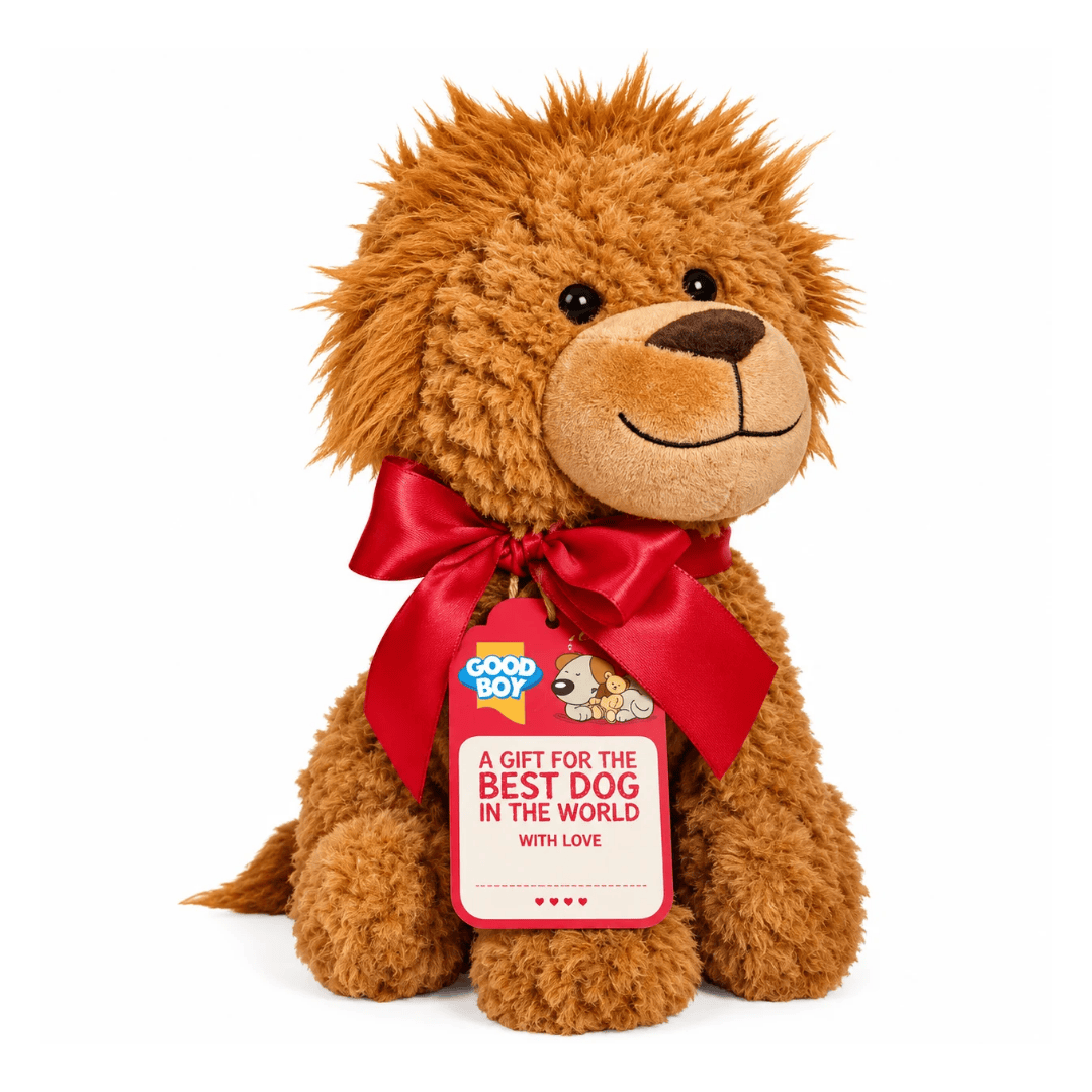 Good Boy Gift Lion 25cm