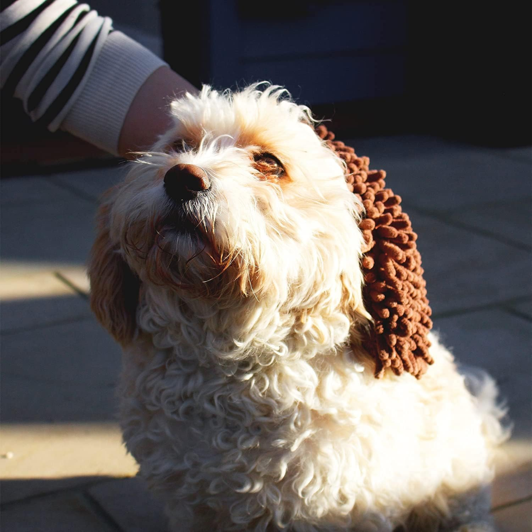 Dirty Dog Grooming Mitt