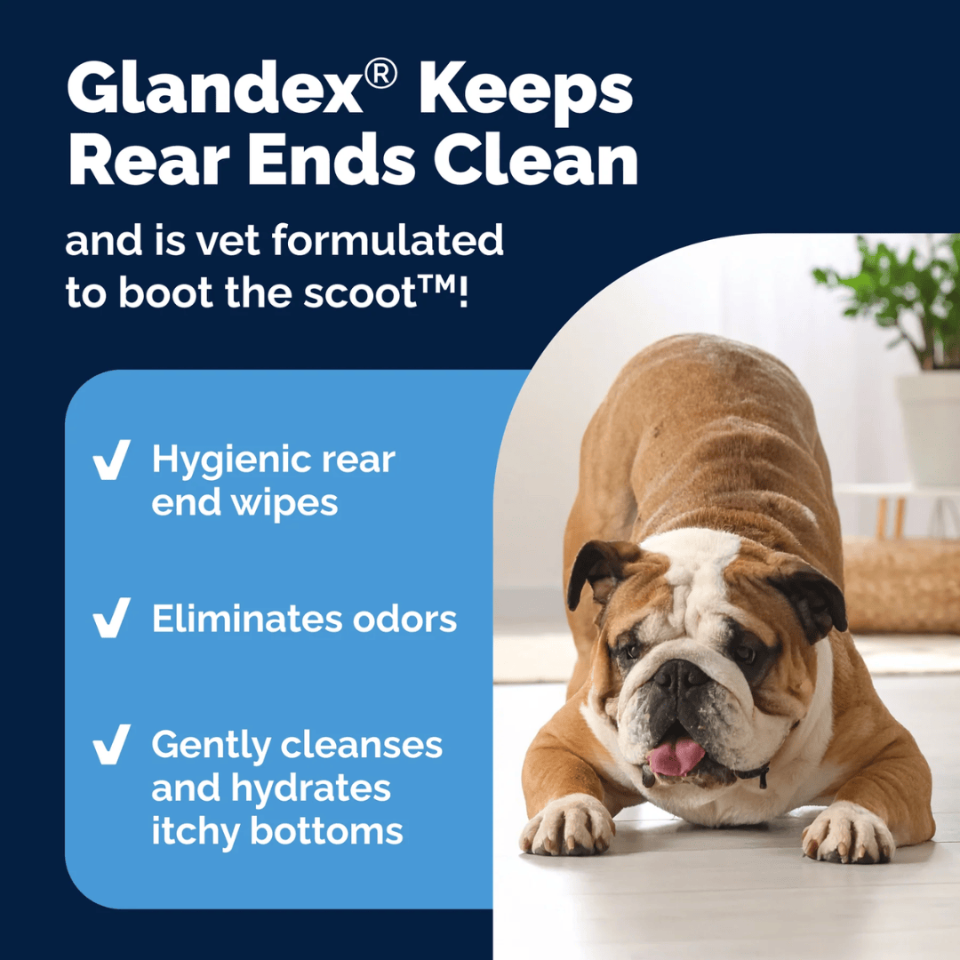 Glandex Anal Gland Hygienic Pet Wipes