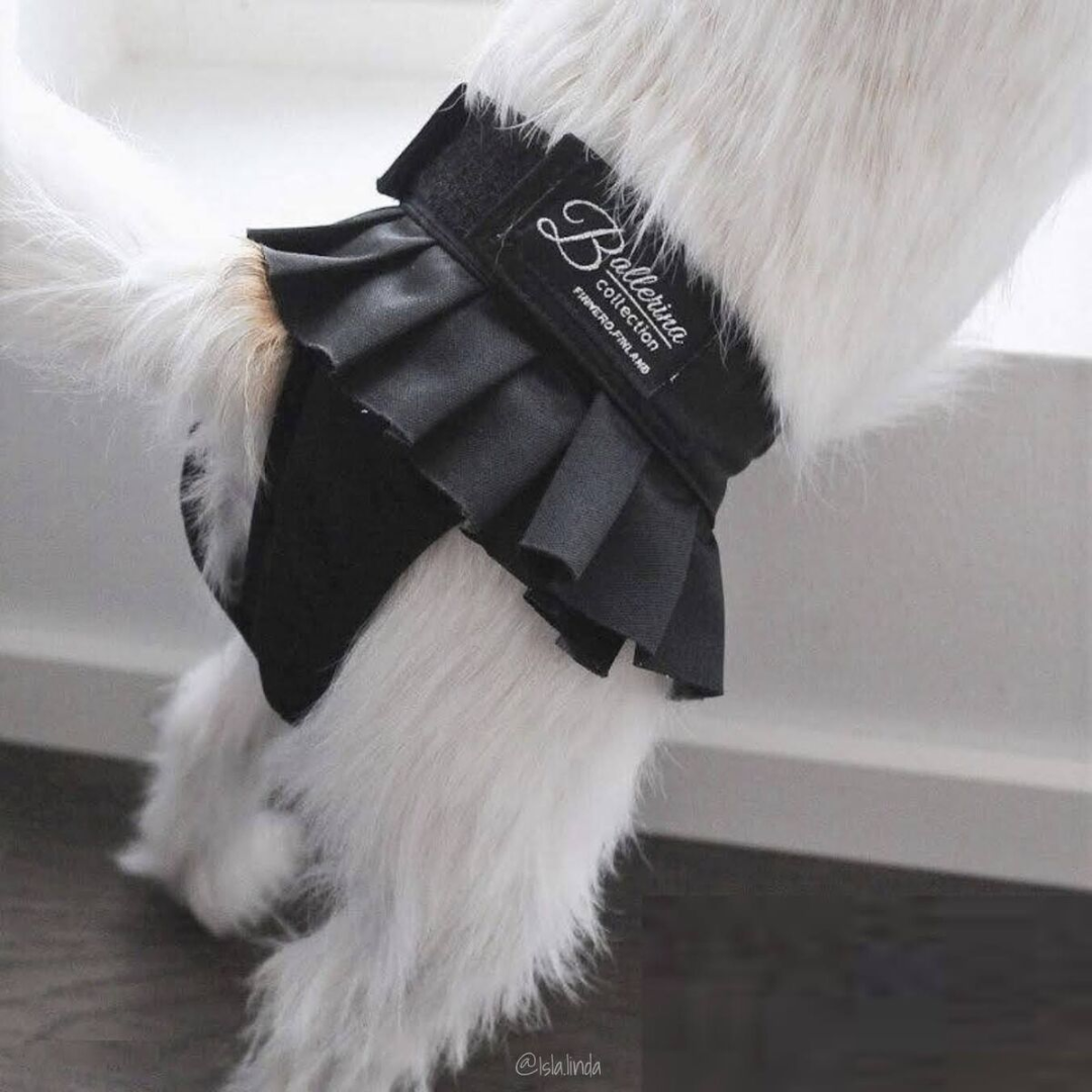 Finnero Female Dog Heat & Hygiene Pants