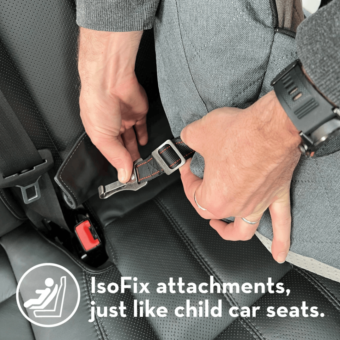 Isofix attachments - just like a car seat.