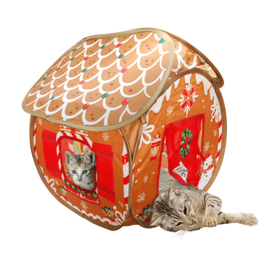 Kong Holiday Play Spaces Bungalow Ginger