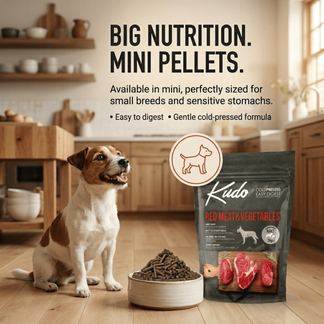 Dog sitting next to a bowl of Kudo dog food with text about the product's features.