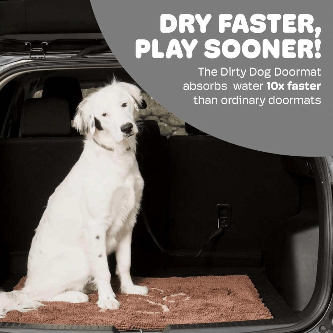 Dirty Dog Absorbent Doormat