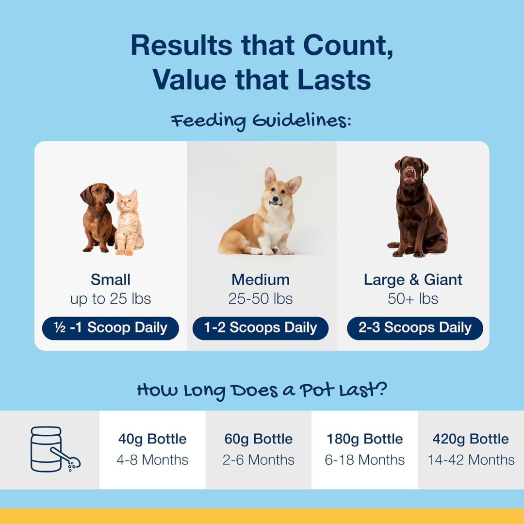 ProDen PlaqueOff Dental Powder