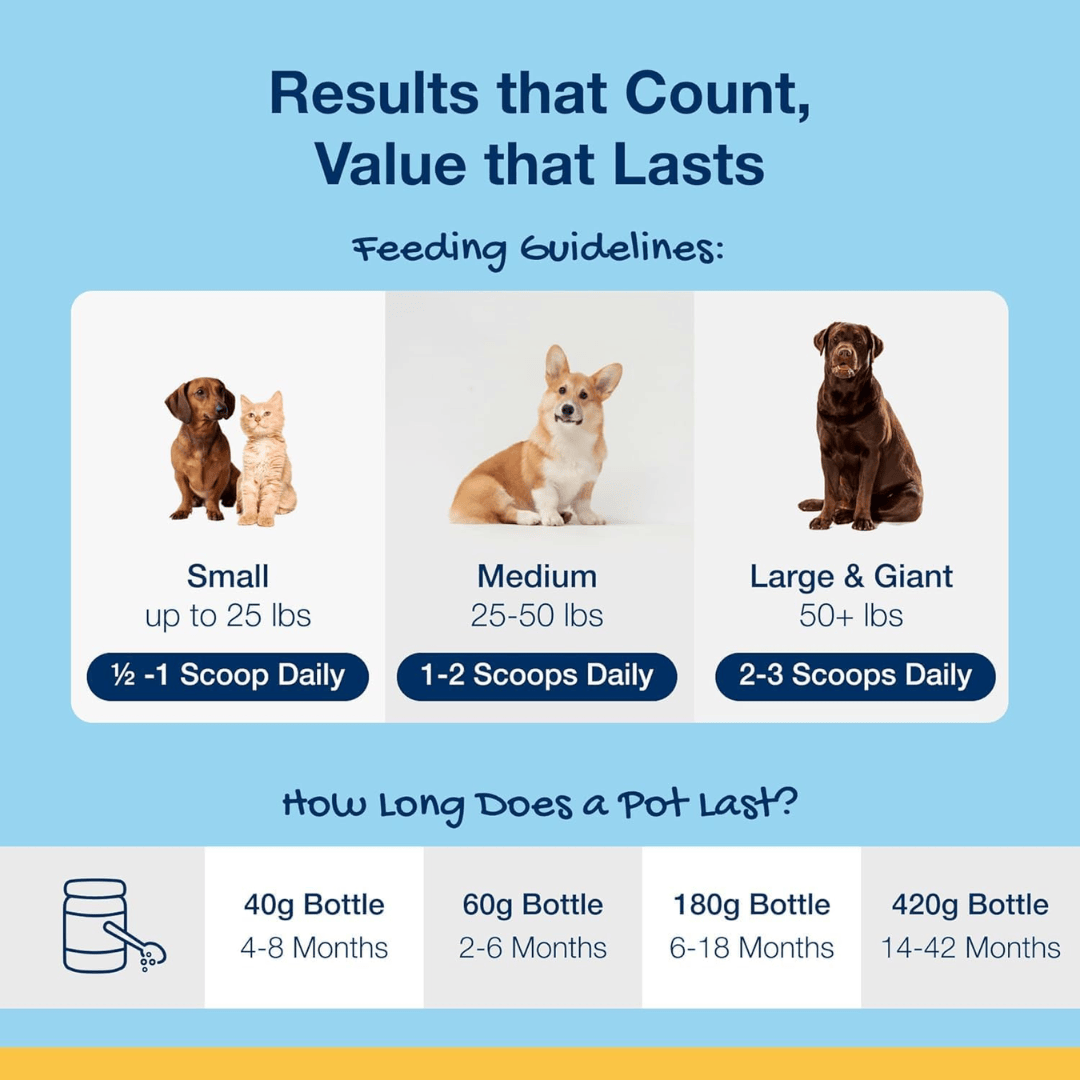 ProDen PlaqueOff Dental Powder