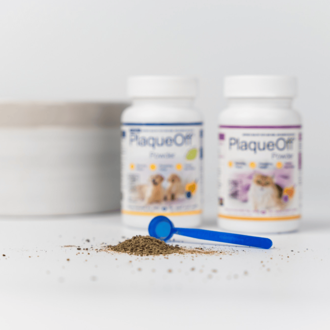 ProDen PlaqueOff Dental Powder