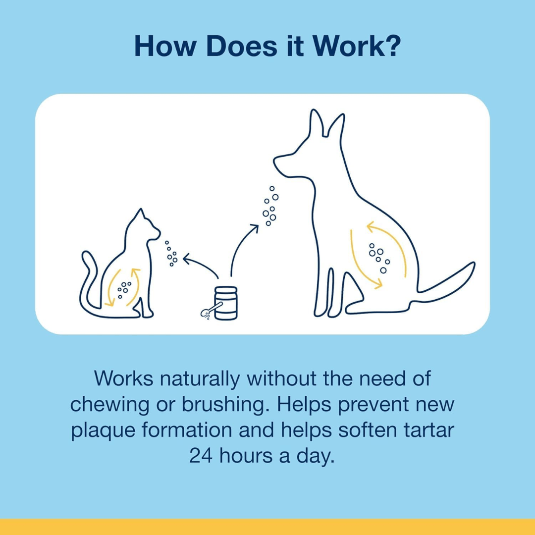 ProDen PlaqueOff Dental Powder