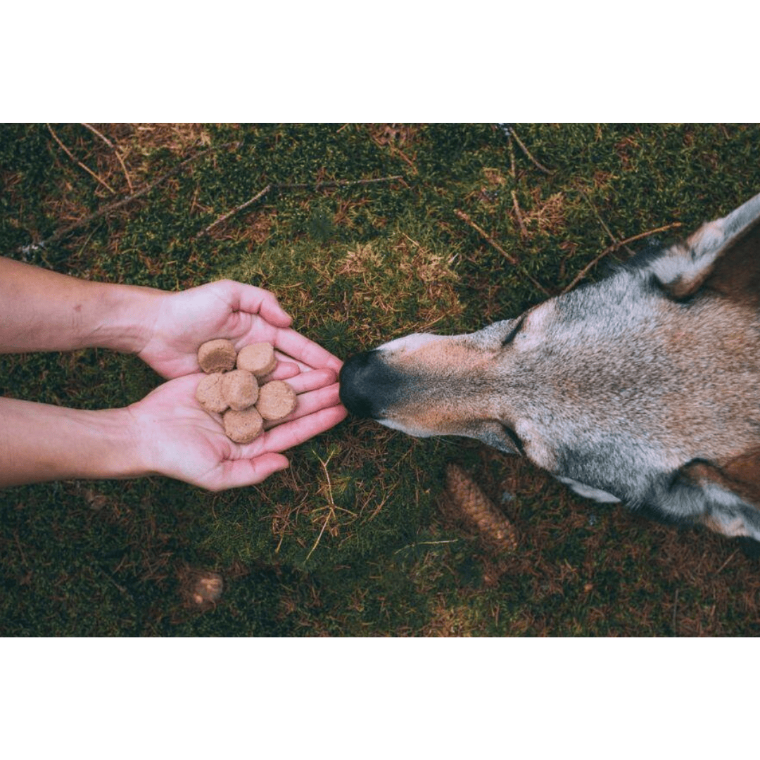 Carnilove Venison & Turkey Freeze-Dried Raw Dog Treats